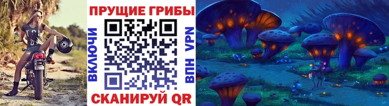 Псилоцибиновые грибы Magic Shrooms  это наркотические препараты  Таштагол 