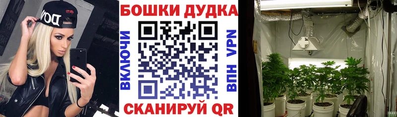 Шишки марихуана AK-47 Таштагол